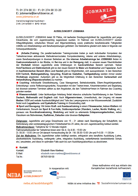 Infoblatt Ausbildungsfit Jobmania