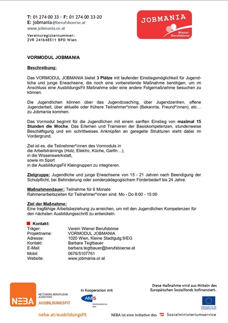 Infoblatt Vormodul Jobmania