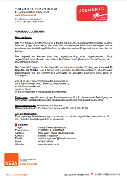 Infoblatt Jobmania Vormodul